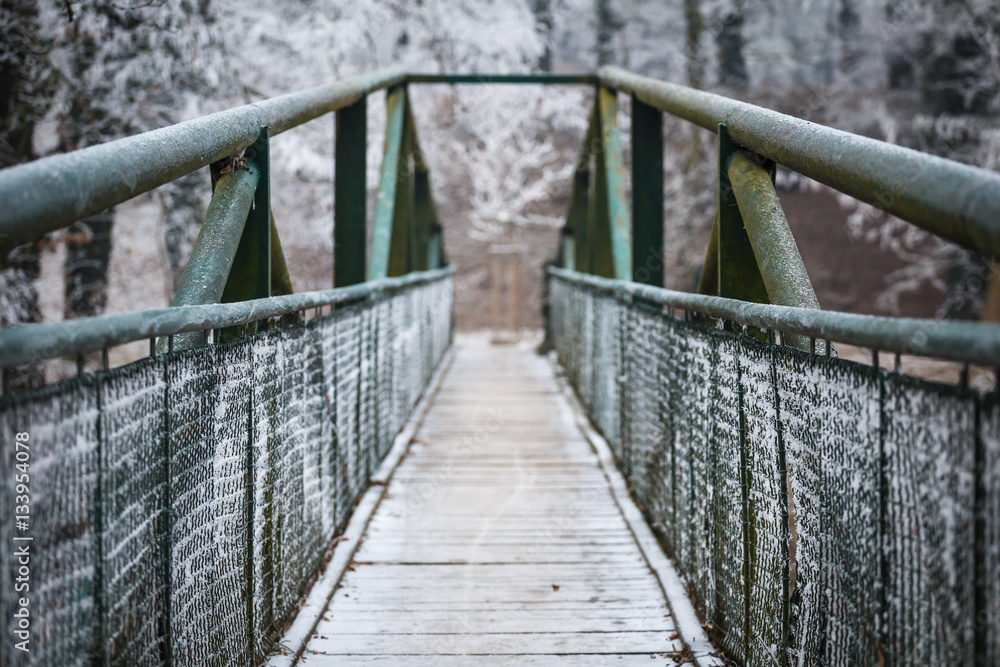 Fototapeta premium Iron bridge in the park leading over the river
