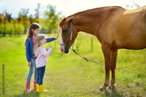 Two cute little sisters petting a horse in countryside © MNStudio