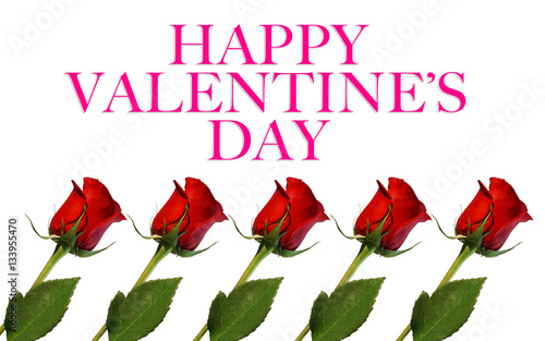 red roses isolated on white...