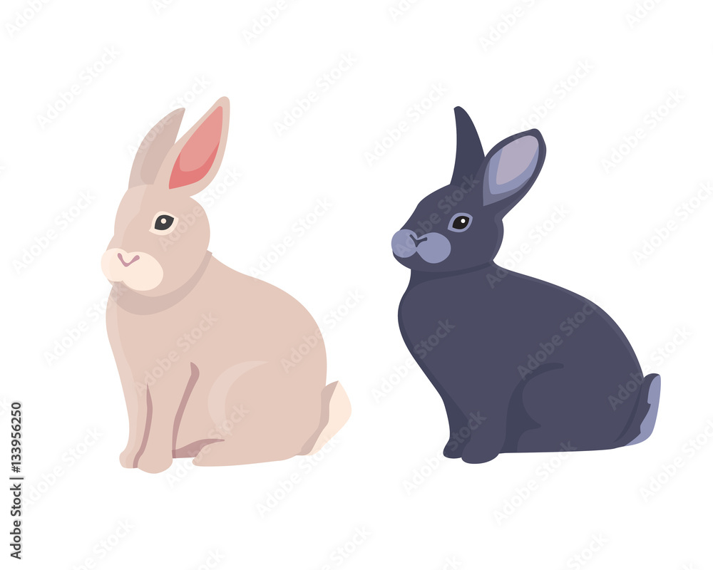 vector illustration of cartoon rabbits different breeds. Fine bunnys for veterinary design vector illustration of cartoon rabbits different breeds. Fine bunnys for veterinary design