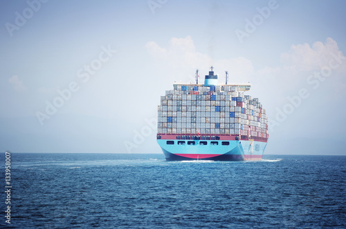 Container ship loaded with cargo containers sailing on sea against sky