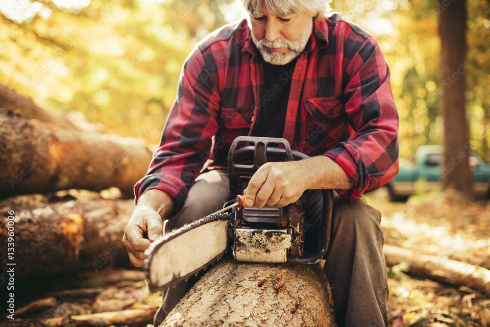 Mature male lumberjack examining chainsaw while sitting on log in forest Mature male lumberjack examining chainsaw while sitting on log in forest