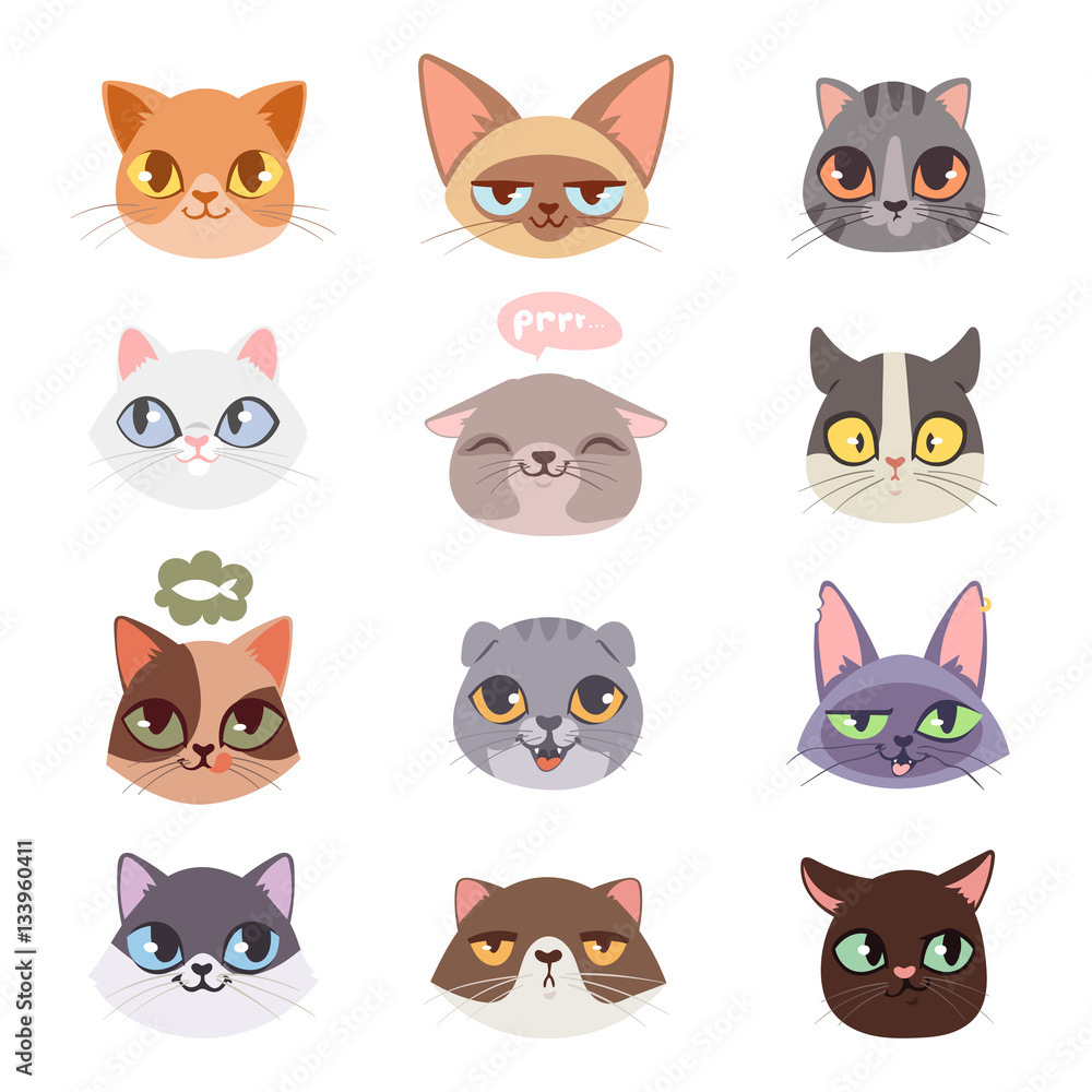 Cats vector heads illustration