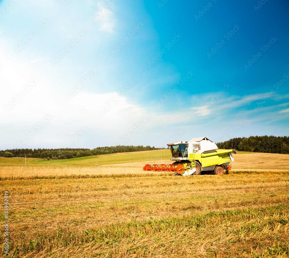 Fototapeta premium Working Harvesting Combine in the Oat Field. Farmland Background. Agriculture Machinery and Harvest Concept. Harvester Farm Machine. Toned Photo with Copy Space.