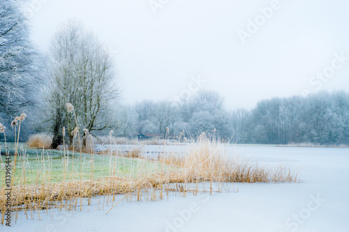Wallpaper Mural Freezing Holland Torontodigital.ca