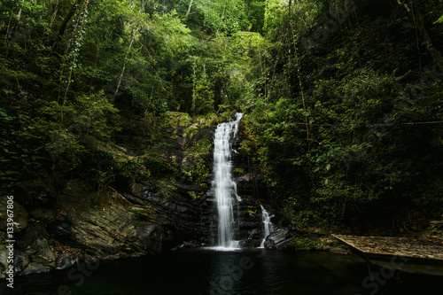 Scenic view of waterfall in forest photo