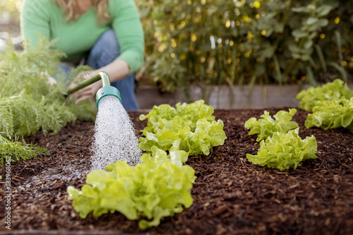 Midsection of female farmer spraying water on plants at vegetable garden