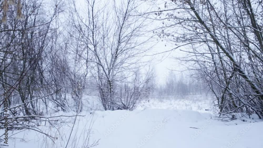 Winter landscape with snowing Winter landscape with snowing