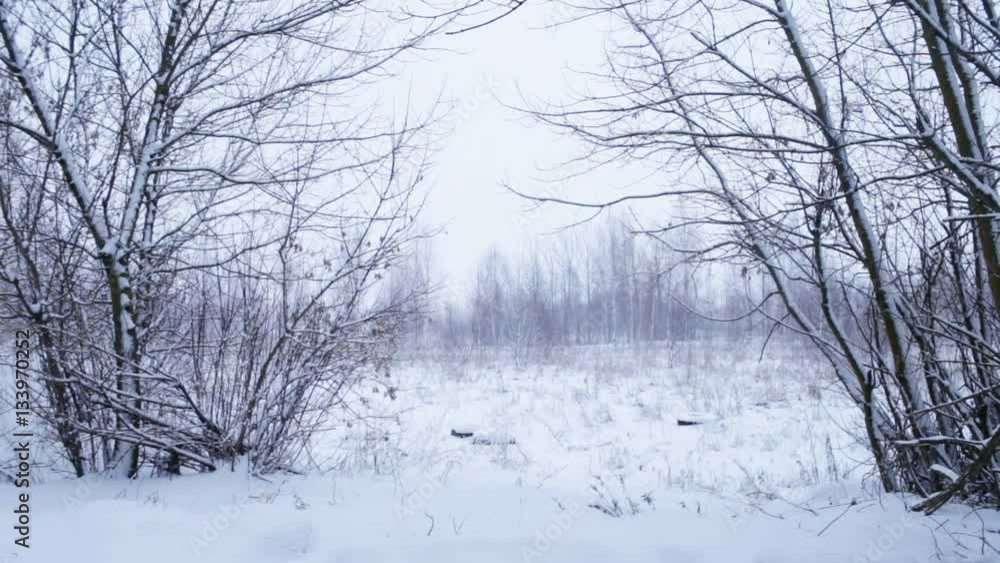 Winter landscape with snowing Winter landscape with snowing