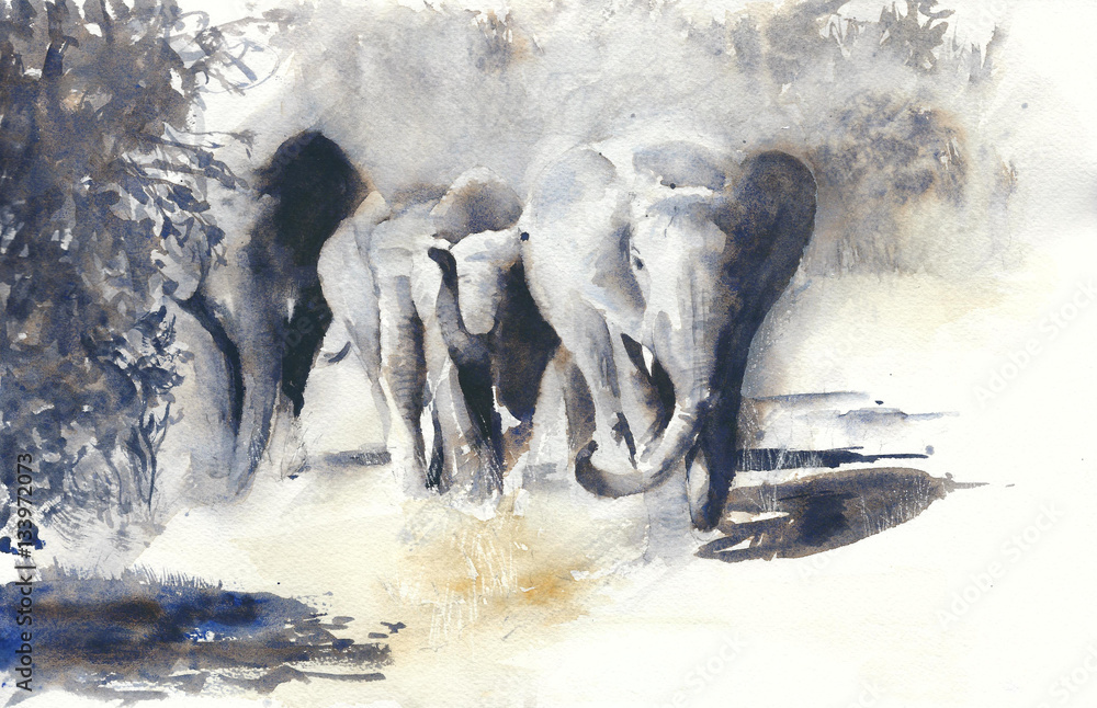 Obraz Słonie akwarela malarstwo afrykańskie safari
