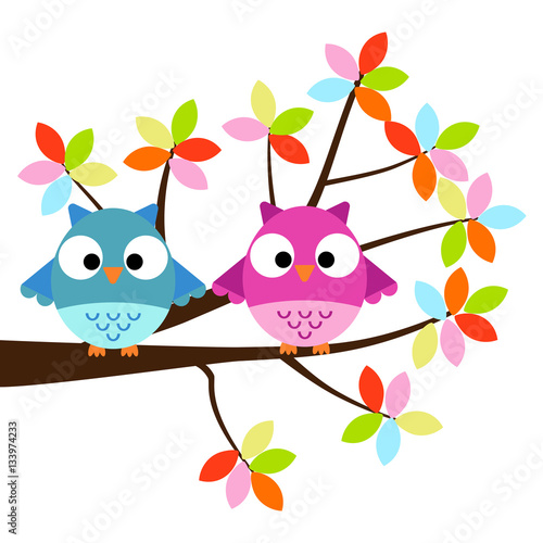 Two Owls sitting on the branch