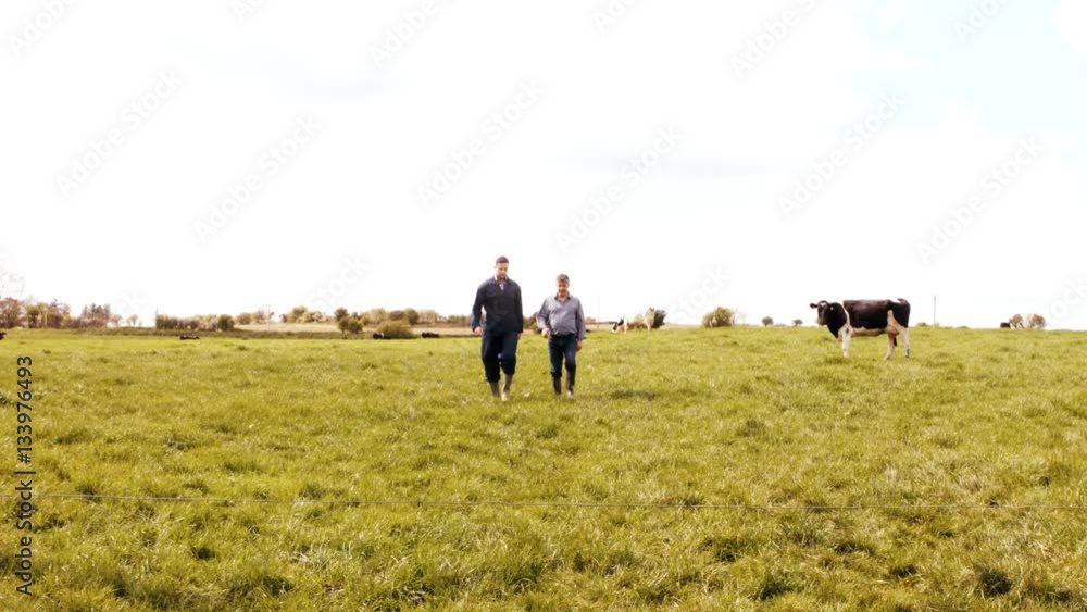 Cattle farmer walking with a man Cattle farmer walking with a man