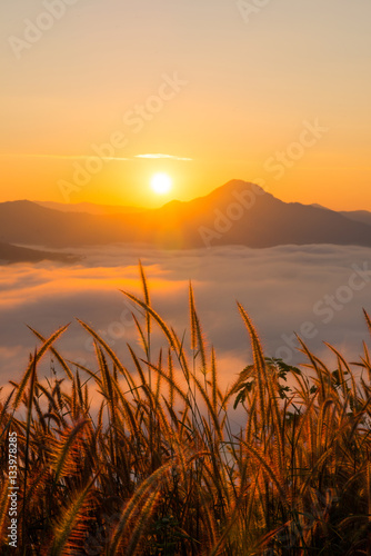 beautiful sunrise with mist in the morning at Phutok
