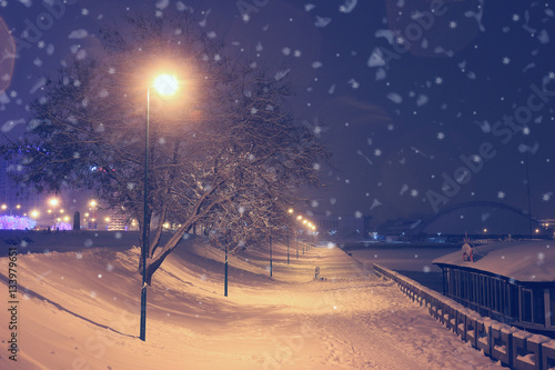 Night landscape in winter park. Light lights and falling snow. Beautiful background with night illumination. © dzmitrock87