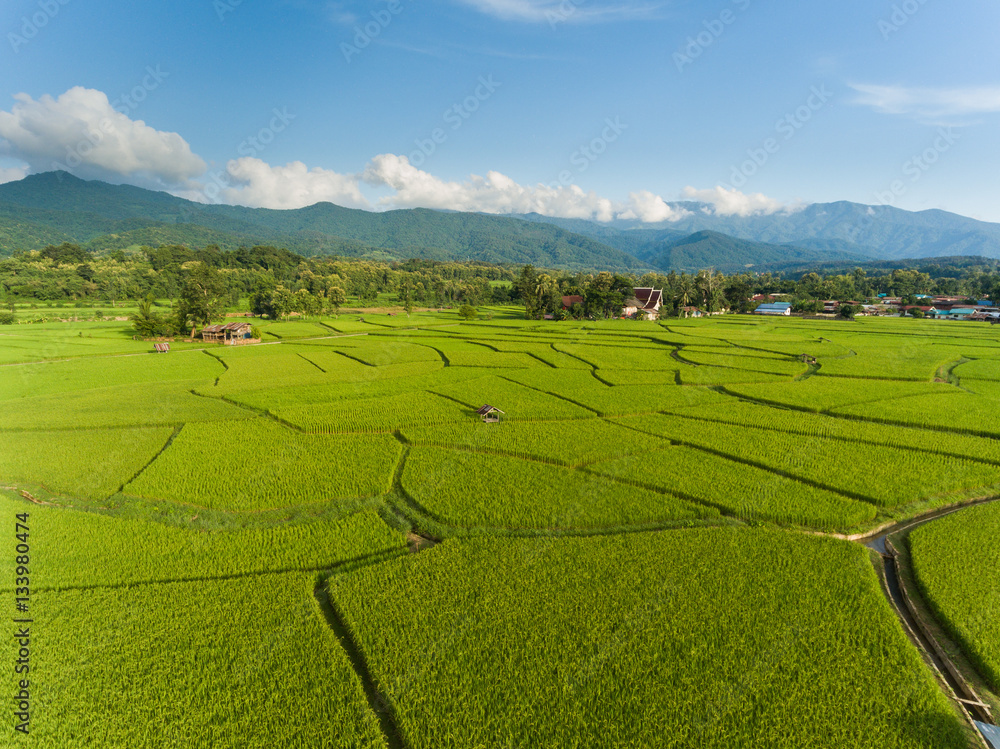 Rice farm Map, Bird Eye View Rice farm Map, Bird Eye View