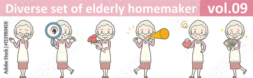 Diverse set of elderly homemaker, EPS10 vol.09