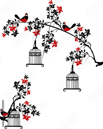 tree branch with birds and cages