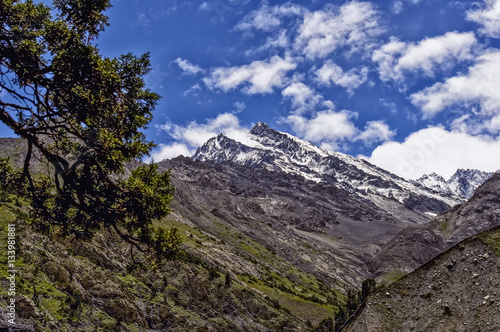 Mountain Peak clear day with greens and snow