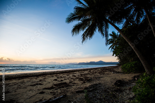 Beach Palm trees sunrise