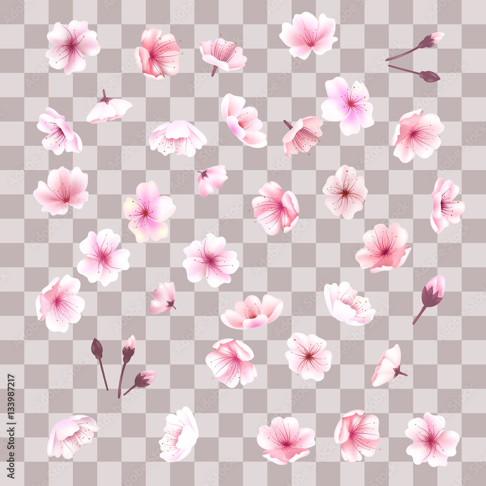 Cherry blossom, flowers of sakura, set, pink, collection,vector illustration