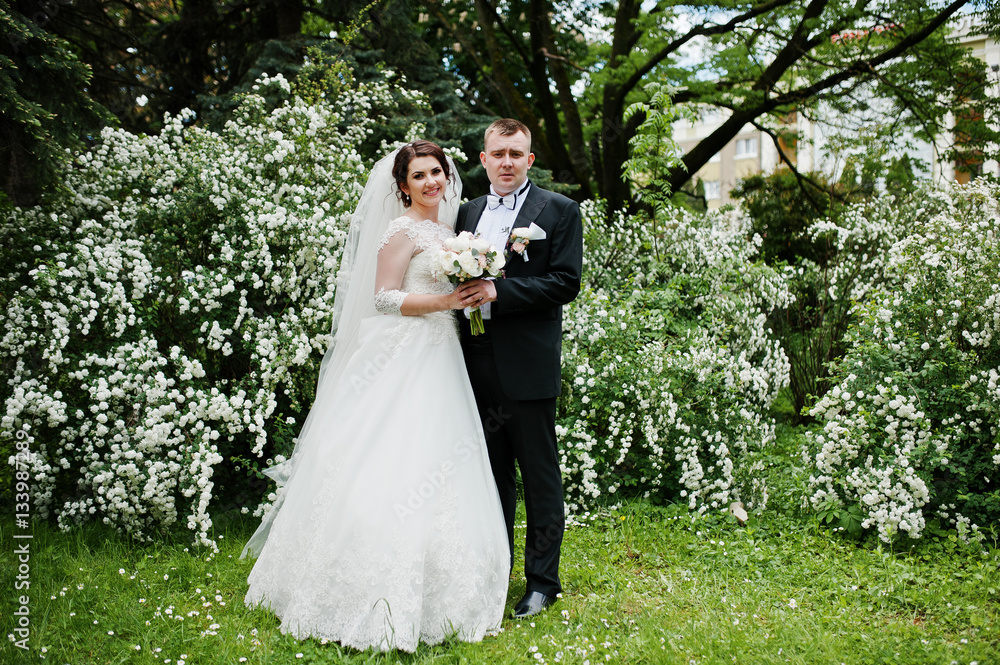Elegant wedding couple in love background bush with white flower Elegant wedding couple in love background bush with white flower