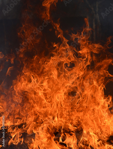 Fire bonfire