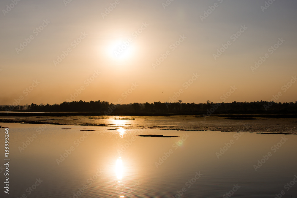 Silhouette swamp with sunset of day. Silhouette swamp with sunset of day.