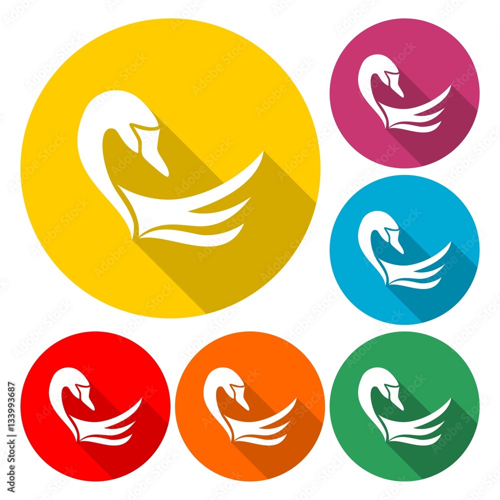 Obraz premium Swan Icon - vector Illustration with long shadow