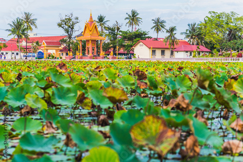 The Lotus pond in Kampot, Cambodia. Contemporary park recreation area in the city center of Kampot. Green leaves and Buddhist architecture and modern buildings with coconut trees in the background photo