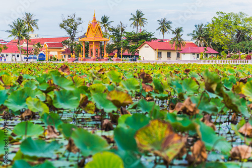 Fényképezés The Lotus pond in Kampot, Cambodia