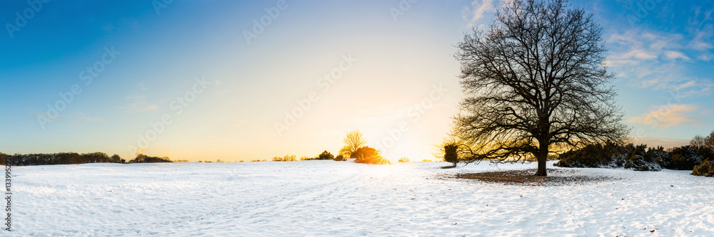 Landschaft im Winter bei Sonnenuntergang Landschaft im Winter bei Sonnenuntergang