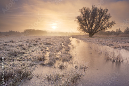 Sunrise over a frozen landscape in The Netherlands photo