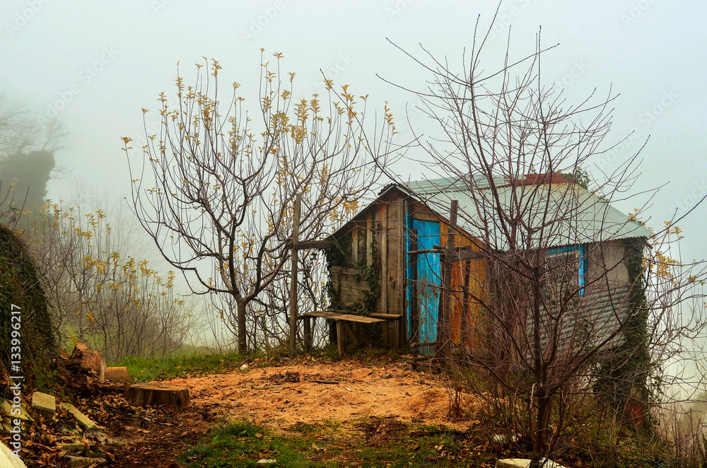Abandoned hut in a misty landscape Abandoned hut in a misty landscape