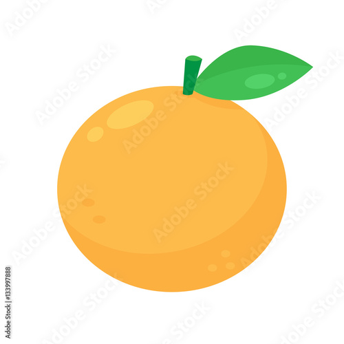 Orange fruit vector isolated