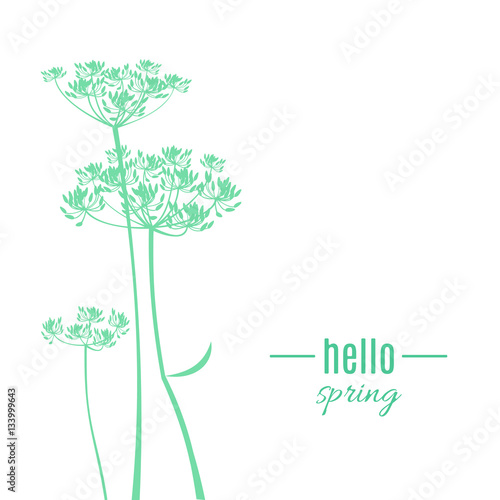 Hello Spring greeting card. Abstract green tender flowers isolated on white background.  Vector illustration