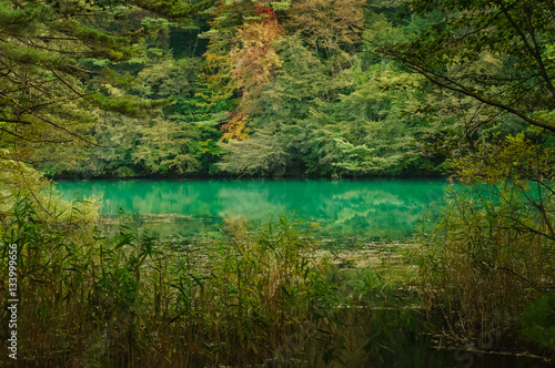 japanese landscape - goshiki numa - ura bandai - fukushima