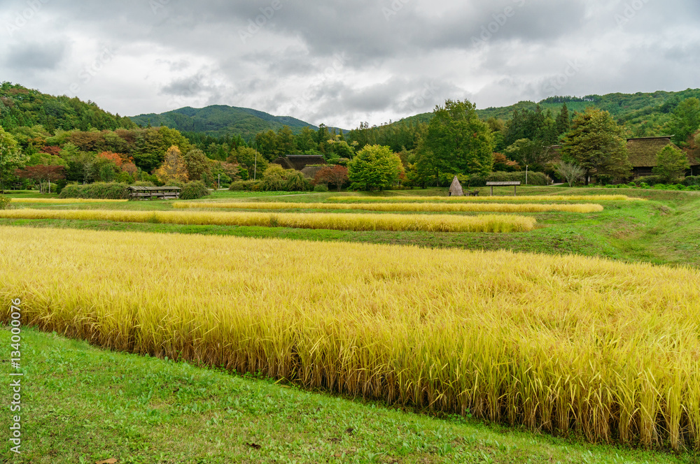 japanese landscape - tono furusato mura - tono - iwate