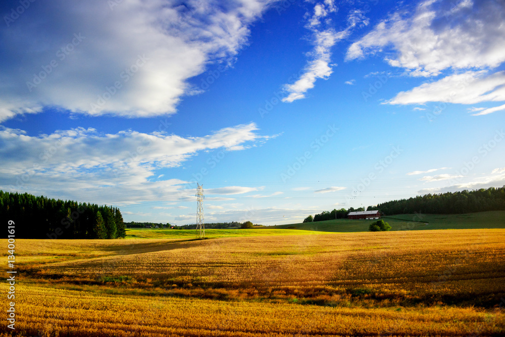 Beautiful landscape and blue sky.