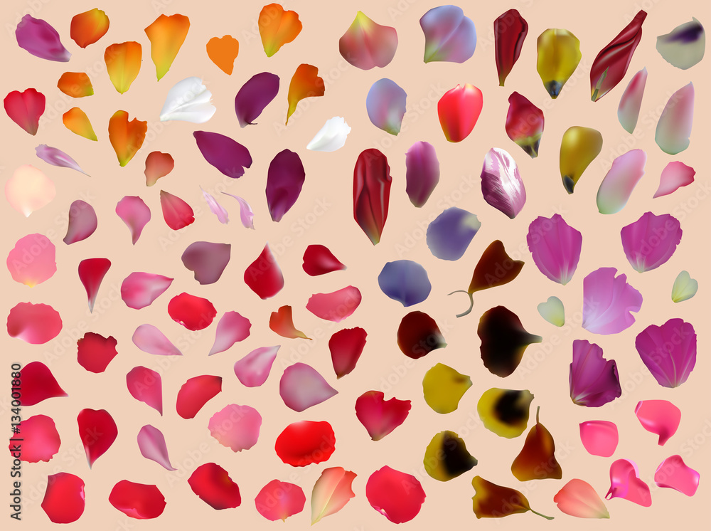bright petals isolated on beige background bright petals isolated on beige background