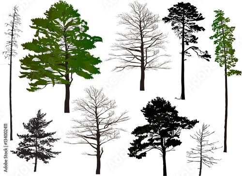 nine collection trees isolated on white