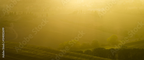misty morning in Tuscany