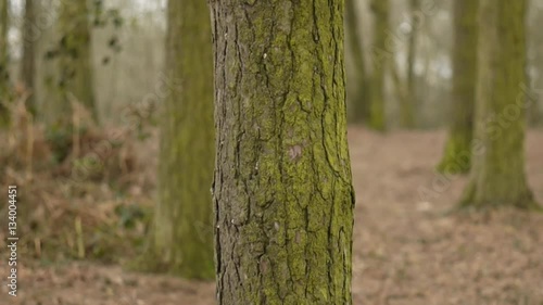 licky hills country park midlands uk photo