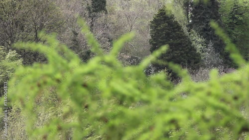 licky hills country park midlands uk licky hills country park midlands uk