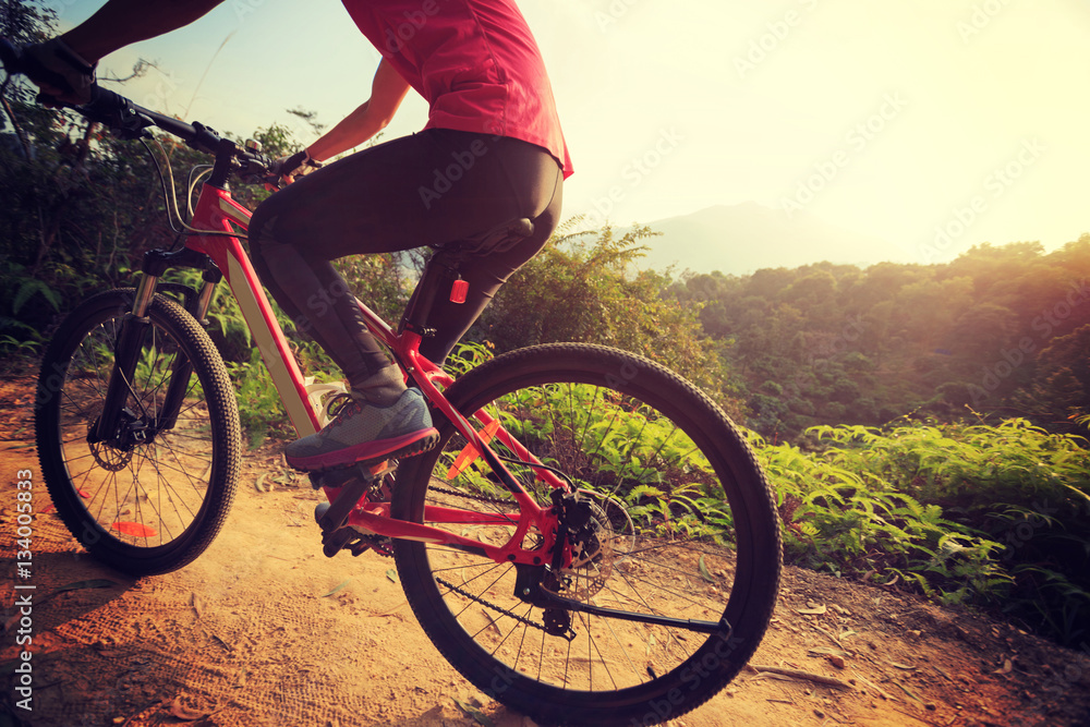 Obraz premium young woman riding mountain bike on forest trail