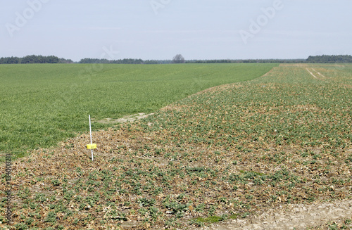 Landwirtschaft photo