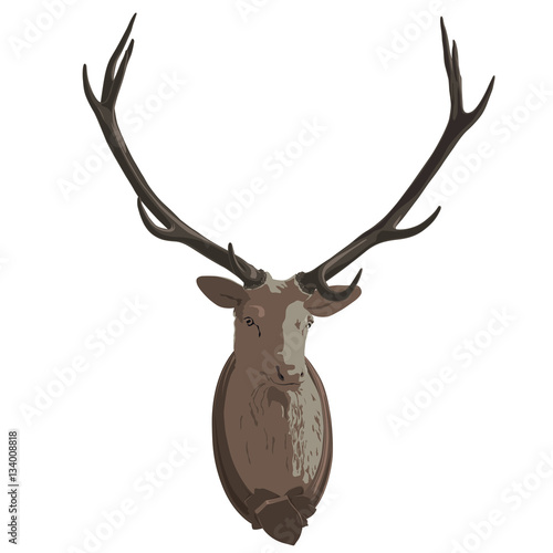Mounted head of deer. Stuffed stag with monumental antlers. Hunting antique trophy. Taxidermy of deer´s head hung on white wall. Flatten illustration master vector.