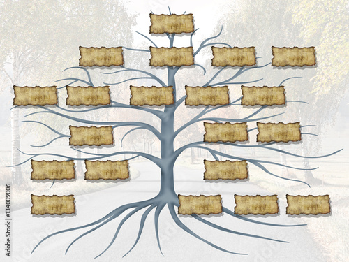 family tree illustration