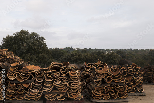 raw cork planks stacking