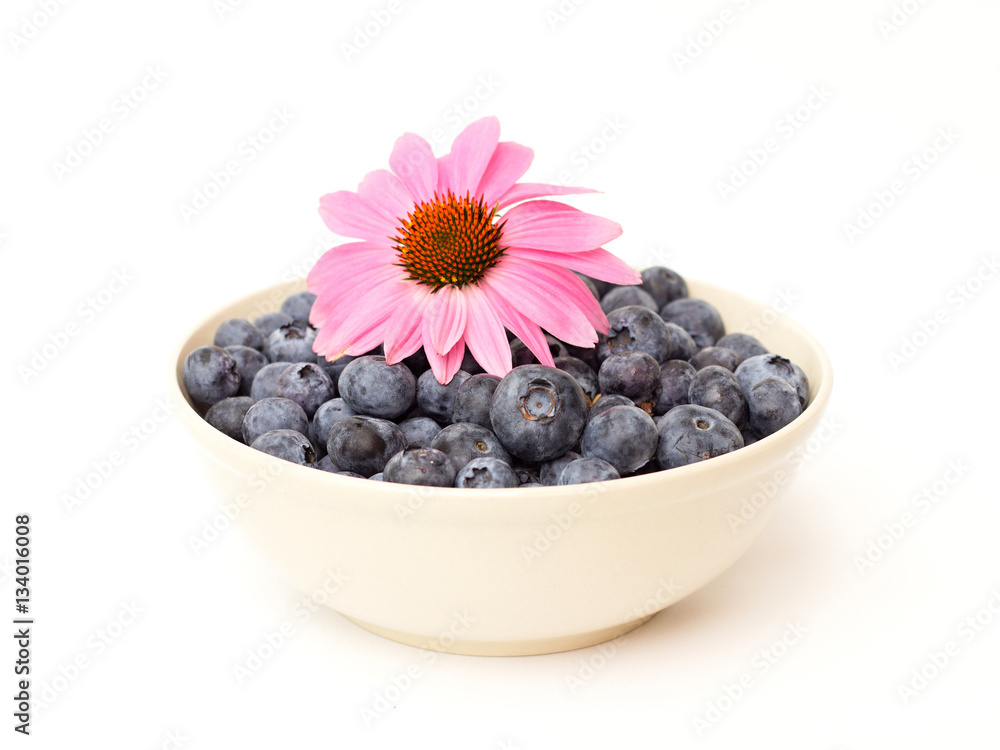 Fresh blueberries in a bowl on a white background Fresh blueberries in a bowl on a white background