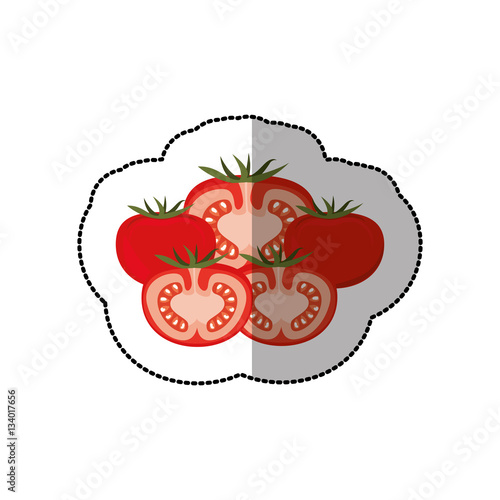 middle shadow sticker colorful set with tomatos vector illustration